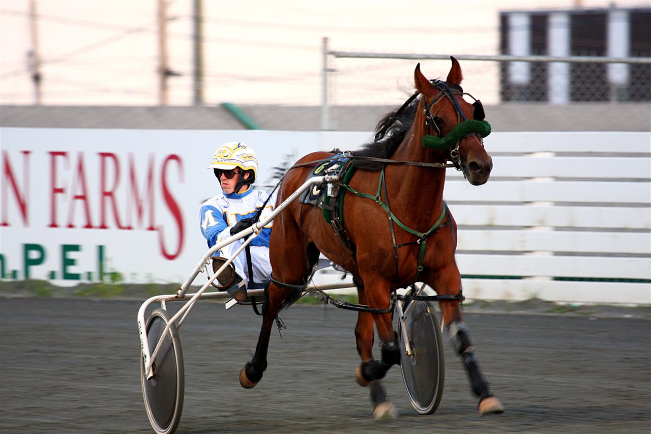 Standardbred harness racing at Charlottetown, the sport the Prince Edward Island racinos were built to fund