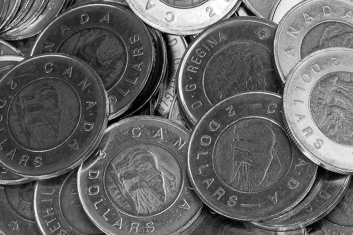 Close-up of a pile of Canadian two-dollar coins, toonies with the polar bear design, in black and white