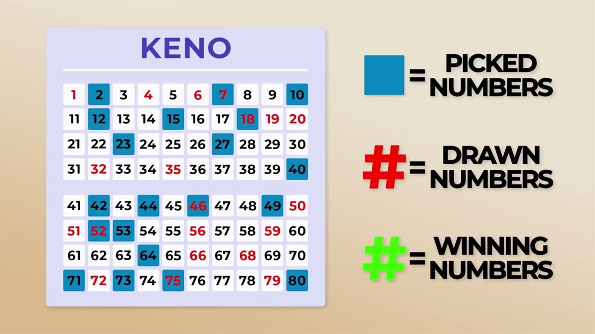 Keno card showing picked, drawn and winning numbers, three of the core keno terms Canada players learn first