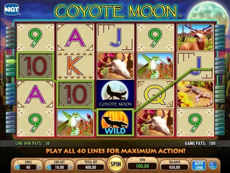 Coyote Moon Review Online 2024