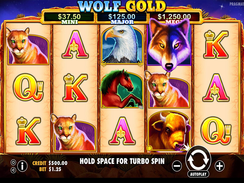 Wolf Gold Review Online 2022