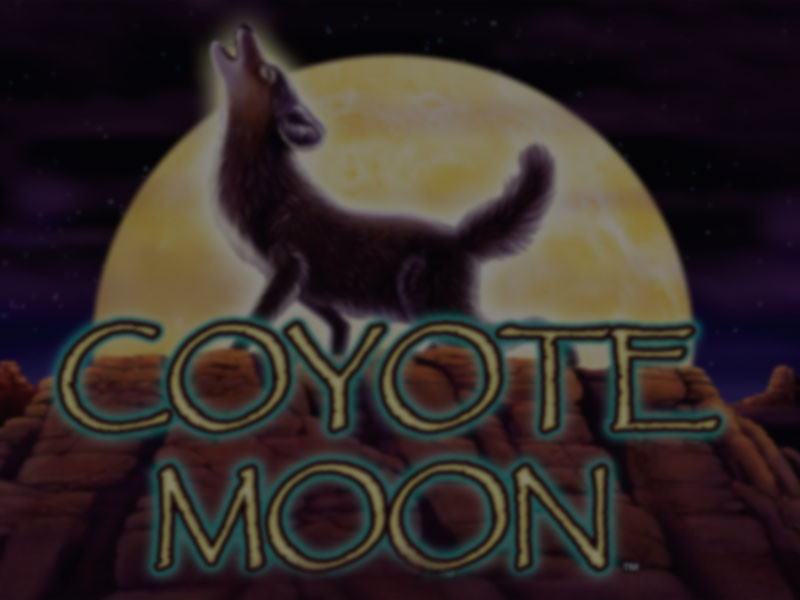 Coyote Moon Review Online 2023